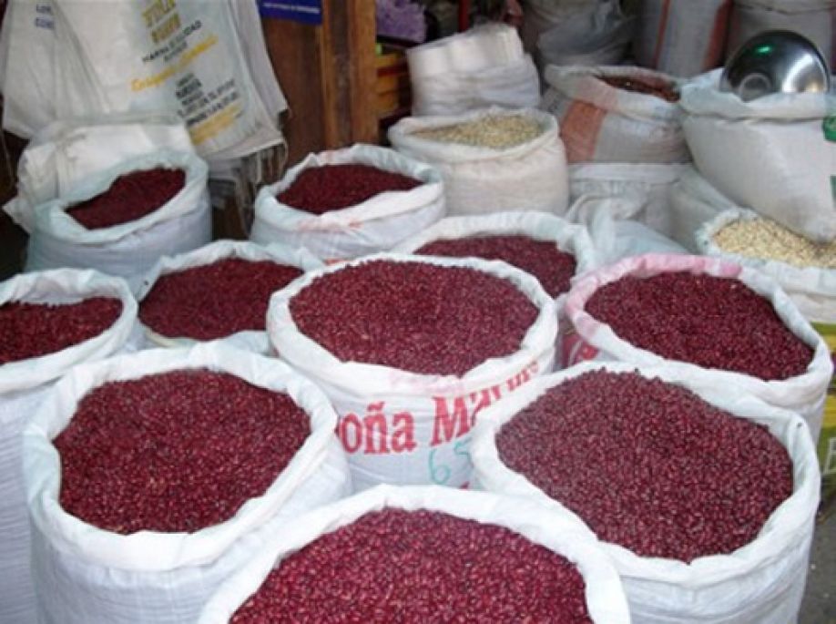 Gobierno prohíbe exportación de frijol rojo durante crisis sanitaria