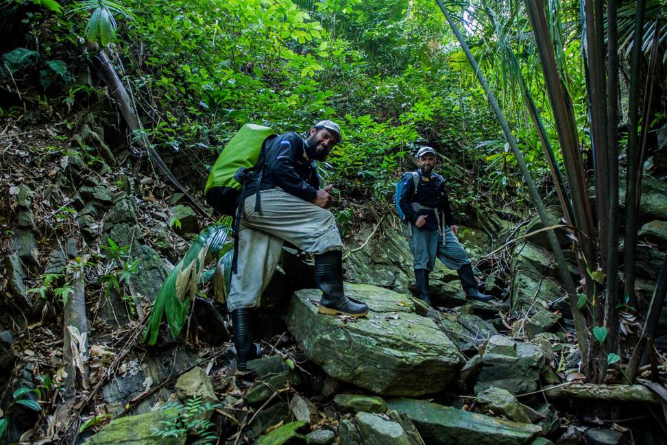 Disney premia a guardabosques hondureño como «Héroe de la Conservación» del bosque