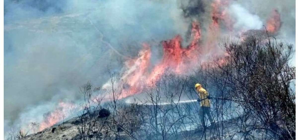 Voraz incendio forestal en cerro de la comunidad de Mateo