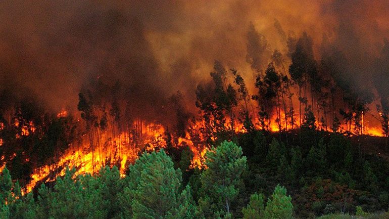 Dos mil 800 incendios forestales registra Honduras