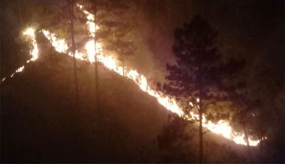 Por incendios forestales: Más 1,200 millones de lempiras pierde Honduras cada año