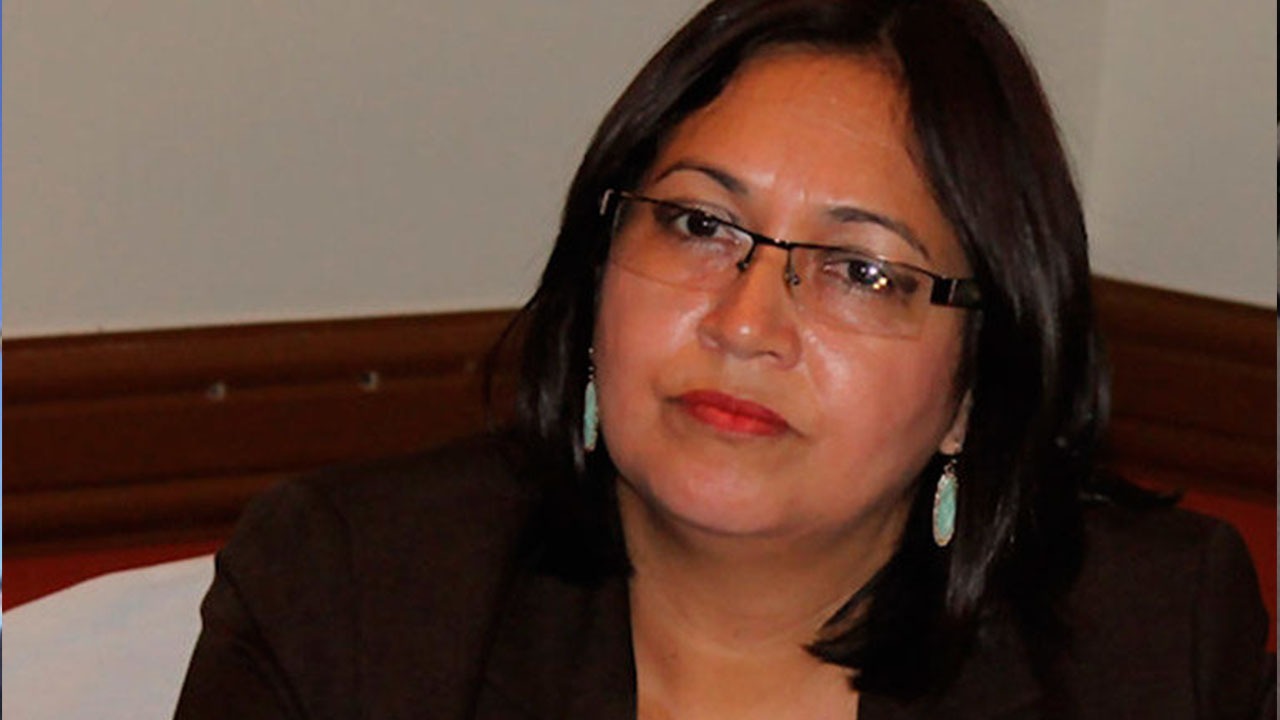 Roxana Araujo: «Honduras sigue los protocolos para el coronavirus»