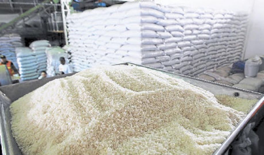 Productores de arroz buscarán asegurar abastecimiento y precio del grano  