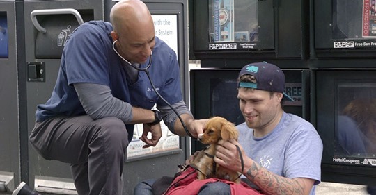 Veterinario examina en las calles a los animales de las personas sin hogar de forma gratuita