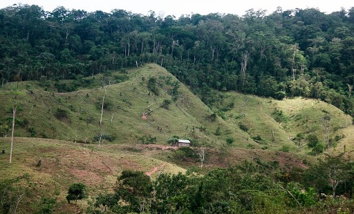 ICF realiza supervisión de bosques en Catacamas con uso de dron