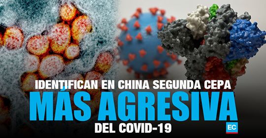 Investigadores de China identificaron una segunda cepa más agresiva del covid-19