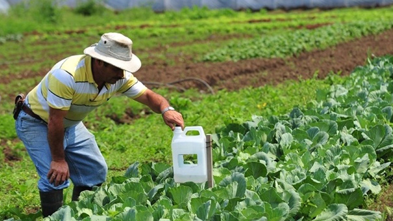 Cococh presenta ante el CN proyecto de agricultura Familiar