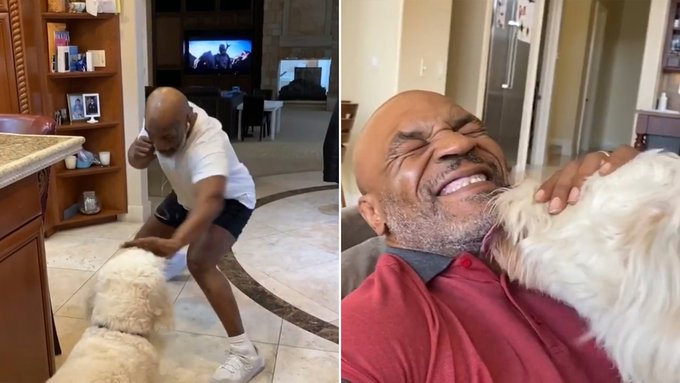Boxeando con su perro a los 53 años: así pasa la cuarentena Mike Tyson