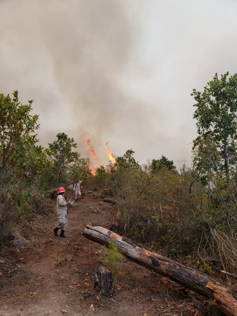 Fuerte incendio en reserva forestal de comunidad El Trigo y El Hatillo,