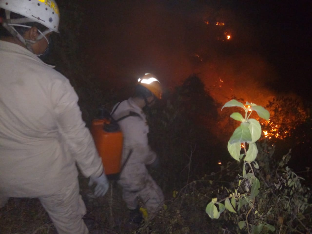 Incendio forestal de grandes proporciones pone en riesgo a varias residenciales en Dos caminos, Villanueva, Cortés Incendio forestal de grandes proporciones pone en riesgo a varias residenciales en Dos caminos, Villanueva, Cortés