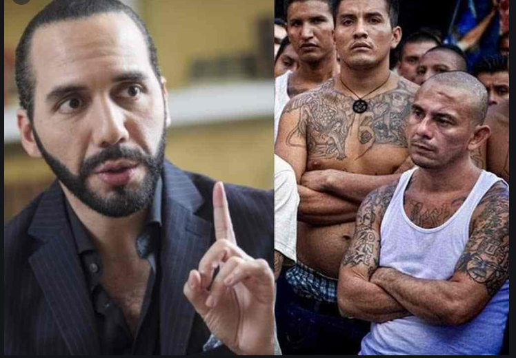 Amnistía Internacional pide a Bukele respetar Derechos Humanos Amnistía Internacional pide a Bukele respetar Derechos Humanos