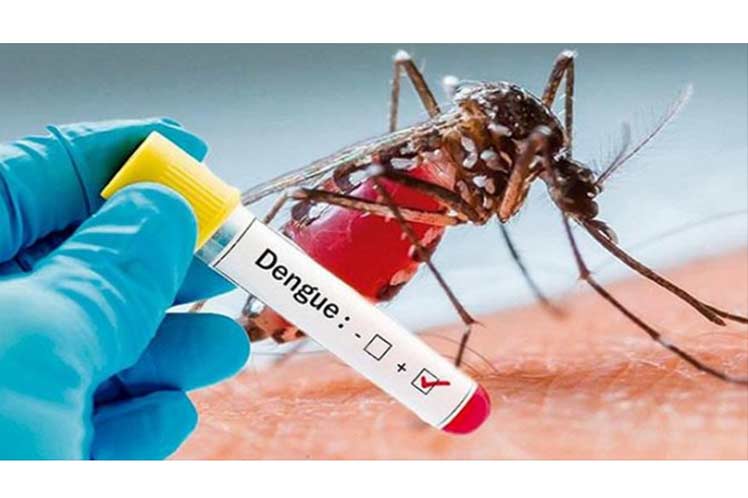 En septiembre llegará la vacuna contra el dengue al país