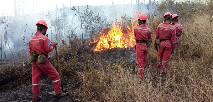 Sofocan incendio forestal que consumió 180 hectáreas en cerros Canta Gallo y Triquilapa