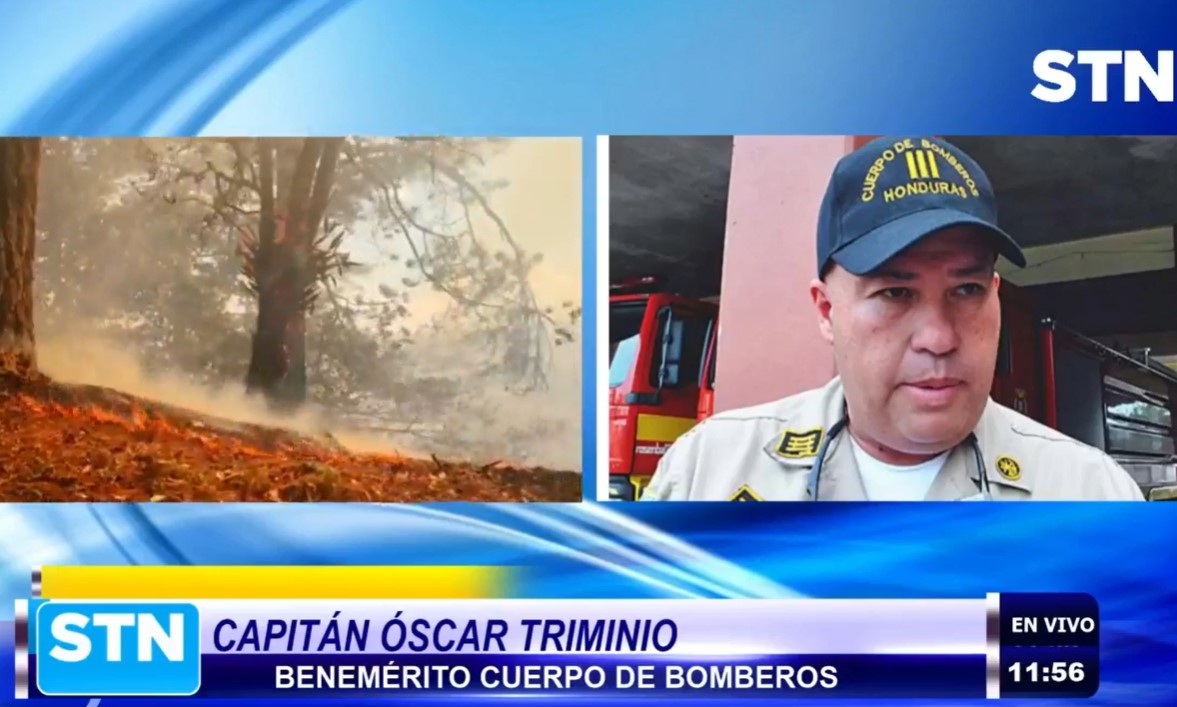 “Pirómanos inconscientes, la naturaleza les está pasando la factura”