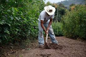 El presidente anuncia otorgamiento de préstamos para el sector agro El presidente anuncia otorgamiento de préstamos para el sector agro