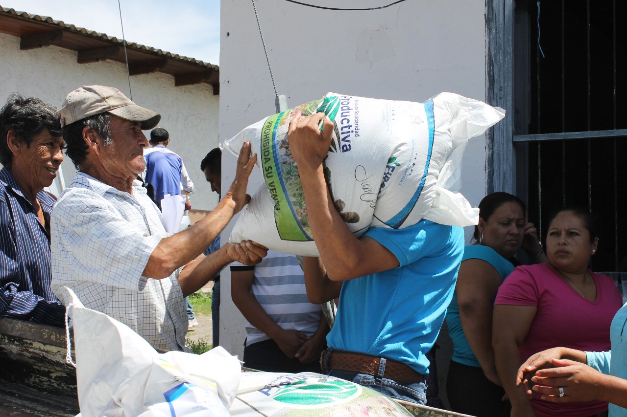 Gobierno iniciará mañana entrega de bonos y fertilizantes a más de 91.000 pequeños productores de café Gobierno iniciará mañana entrega de bonos y fertilizantes a más de 91.000 pequeños productores de café