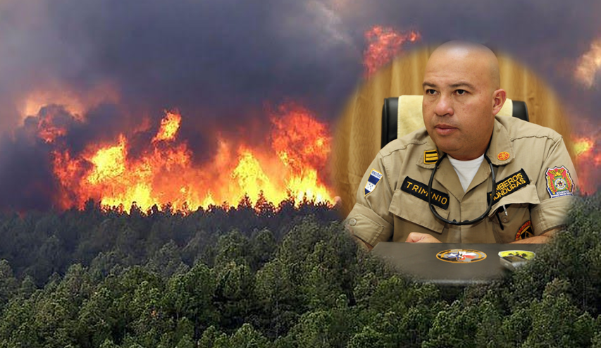 Oscar Triminio:  Se debe concienciar a la población en cuanto al daño que provocan los incendios forestales