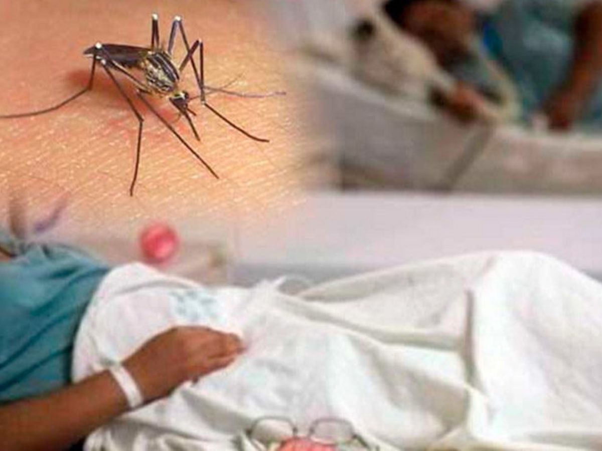 ¡Alarmante! 10,973 casos de dengue se reportan en lo que va del año ¡Alarmante! 10,973 casos de dengue se reportan en lo que va del año
