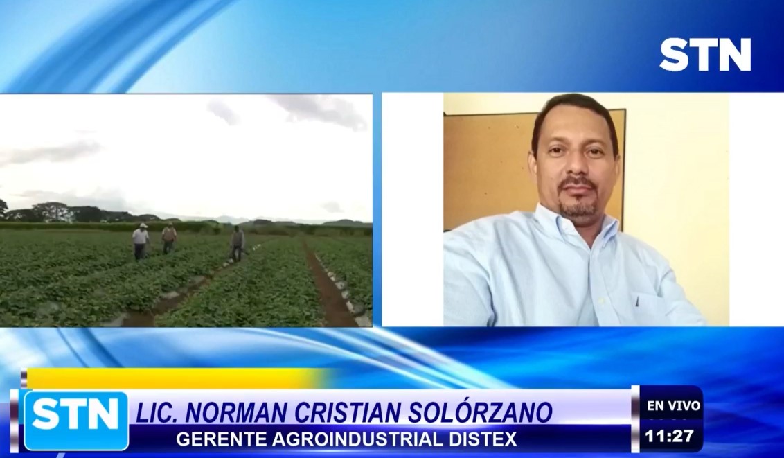 Miles de trabajadores del sector melonero podrían quedar desempleados