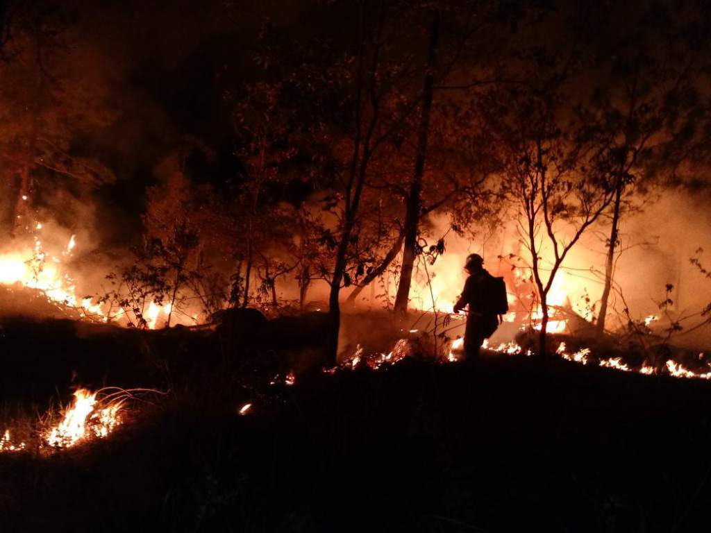 Congreso de Paraguay declara emergencia nacional por incendios forestales