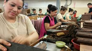 Gobierno y tabacaleras llegan a un acuerdo para pagar a más de mil trabajadores Gobierno y tabacaleras llegan a un acuerdo para pagar a más de mil trabajadores