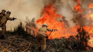 Incendios en zacateras desencadenan siniestros en bosques