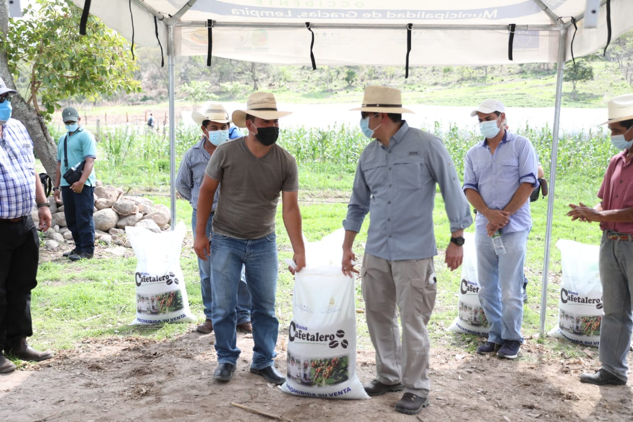 Presidente Hernández entregó bono cafetalero a productores  en Lempira