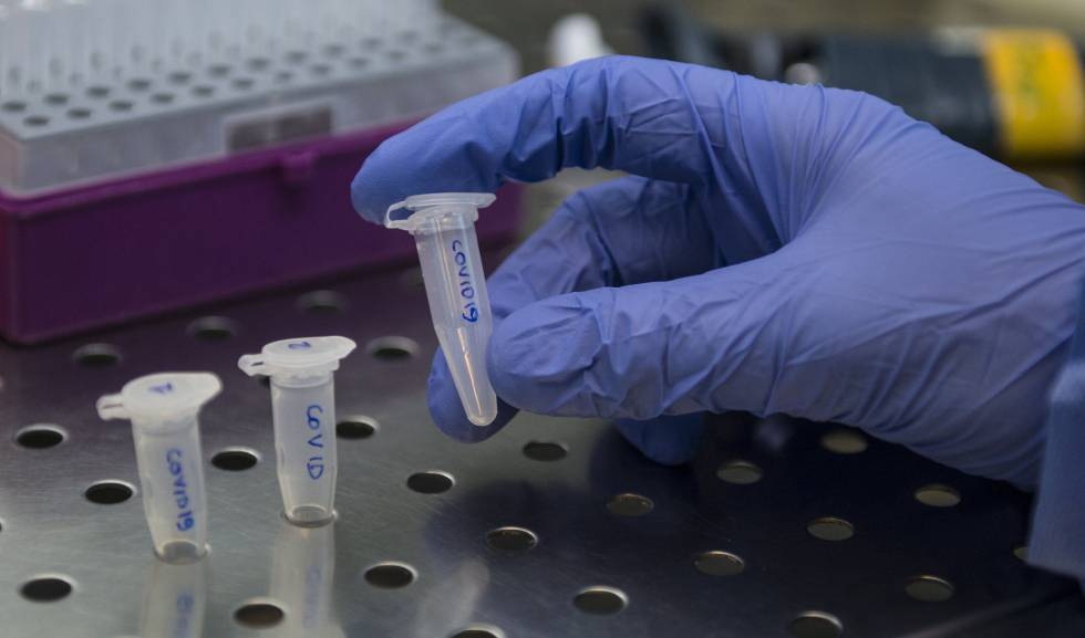 Según médico: Tratamiento “Catracho” disminuye tasa de mortalidad por Covid19 en 25% Según médico: Tratamiento “Catracho” disminuye tasa de mortalidad por Covid19 en 25%