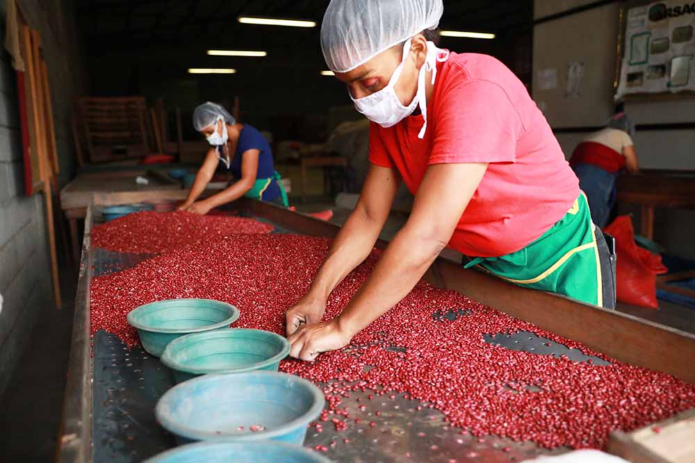 Gobierno inicia entrega del Bono de Solidaridad Productiva en Danlí Gobierno inicia entrega del Bono de Solidaridad Productiva en Danlí