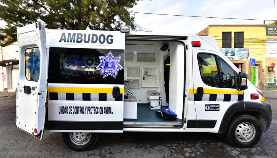 Crean ‘Ambudog’, la primera ambulancia para atender animales sin hogar