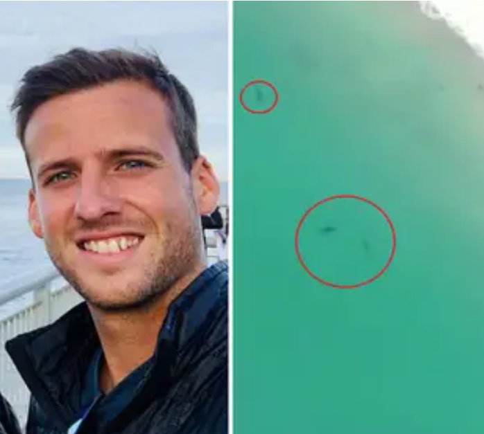 EEUU: Surfista se mete a playa cerrada por Covid-19 y un tiburón lo devora y lo mató