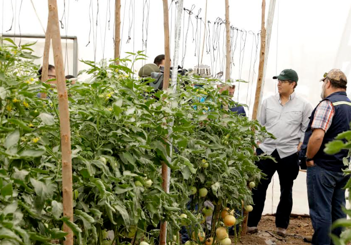 Gobierno garantiza que no habrá escasez de alimentos