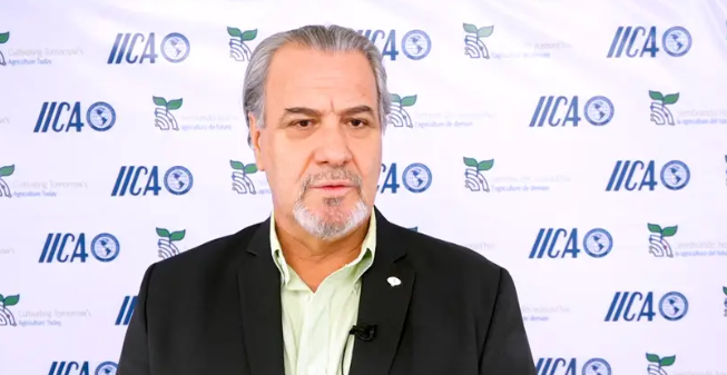 Representante de IICA: En Honduras «no habrá hambruna» Representante de IICA: En Honduras «no habrá hambruna»