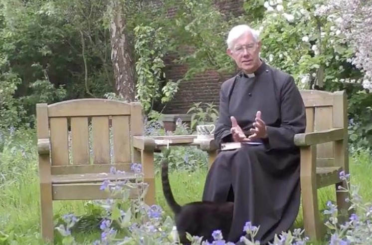 Gato desaparece en la sotana de un sacerdote durante un sermón en línea