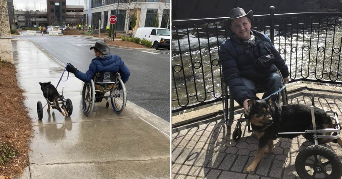 Perro devuelto 4 veces finalmente es adoptado por alguien que lo ama como es