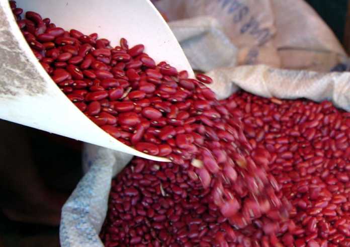 Gobierno comprará 45.000 quintales de frijoles a productores nacionales