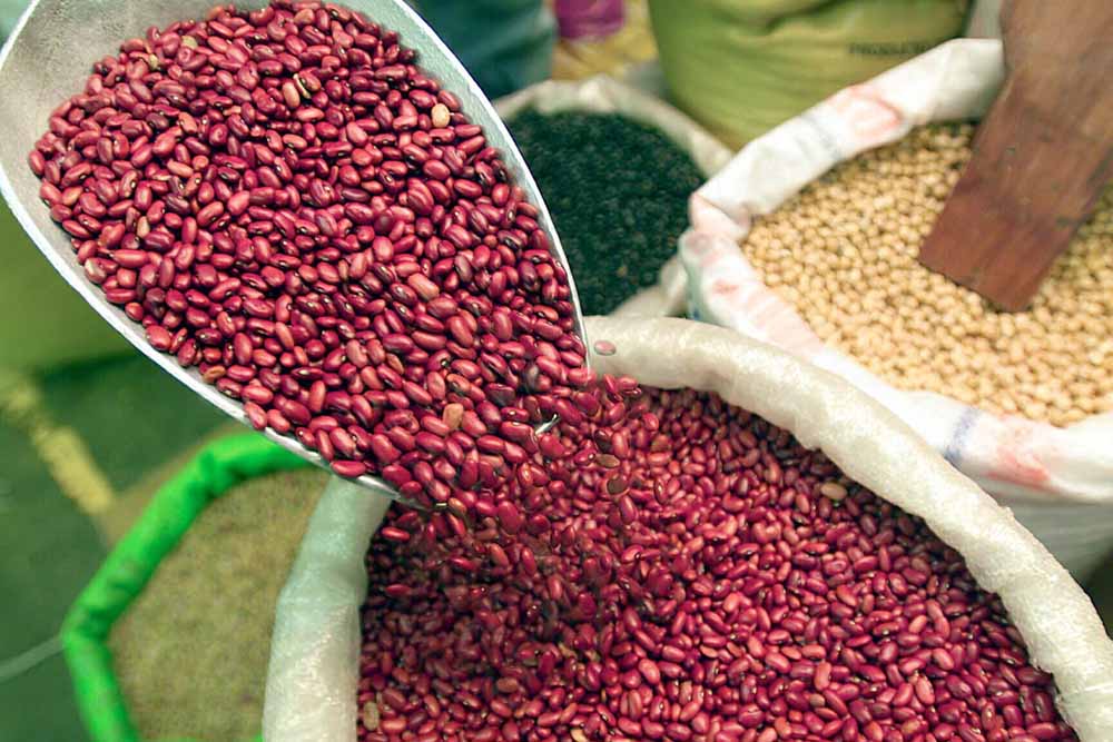 Gerente del IHMA descarta escasez de frijol
