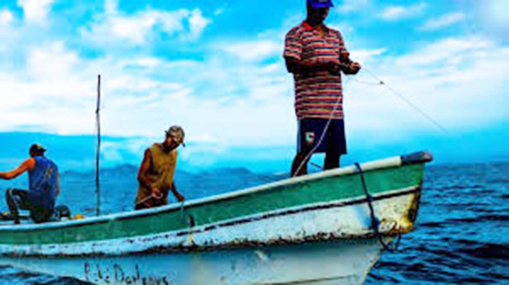 Una bacteria y el calentamiento global acaban con la producción de mariscos  en el Golfo de Fonseca - STN HONDURAS