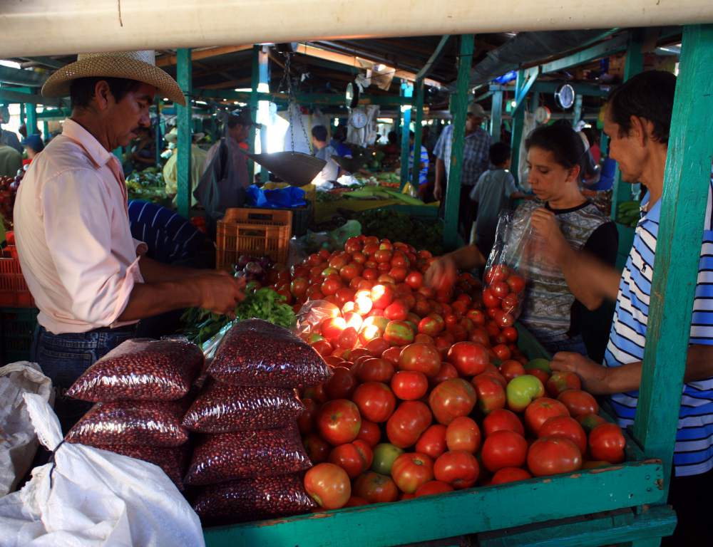 Adecabah: Exagerado incremento en más de 40 productos de la canasta básica Adecabah: Exagerado incremento en más de 40 productos de la canasta básica