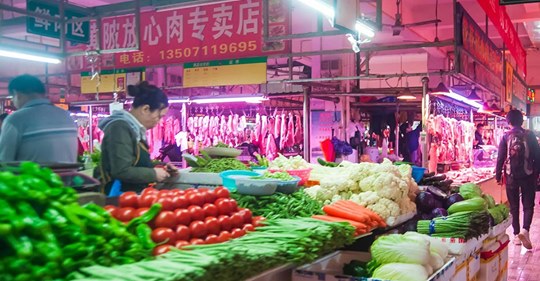 Wuhan ha prohibido oficialmente el consumo de animales salvajes Wuhan ha prohibido oficialmente el consumo de animales salvajes