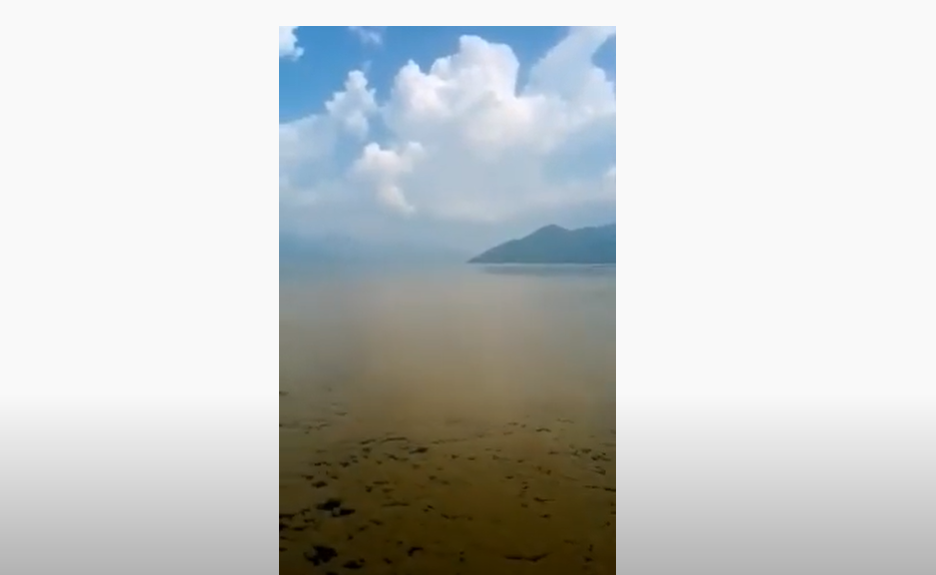 Contaminación : El Lago De Yojoa muere saturado de desperdicios de los criaderos de peces