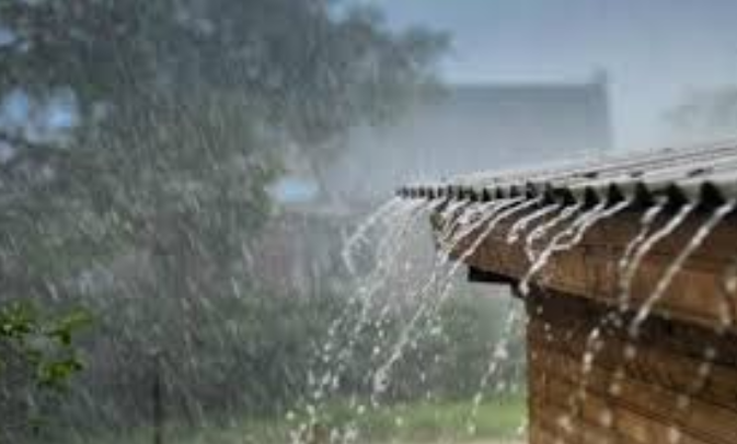 Wil Ochoa: «Humedad proveniente del Mar Caribe dejará lluvias en el territorio nacional» Wil Ochoa: «Humedad proveniente del Mar Caribe dejará lluvias en el territorio nacional»