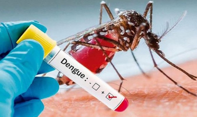 Semana epidemiológica 22 reporta 13,551 casos de dengue