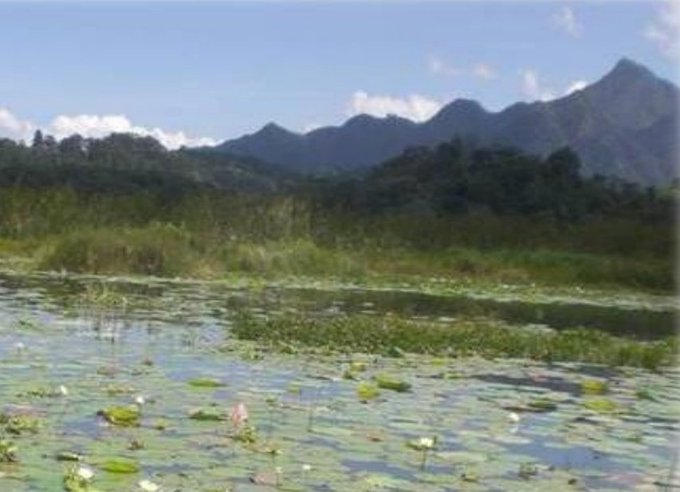 Fiscales del Medio Ambiente realizan recolección de muestras por supuesta contaminación en Lago de Yojoa Fiscales del Medio Ambiente realizan recolección de muestras por supuesta contaminación en Lago de Yojoa