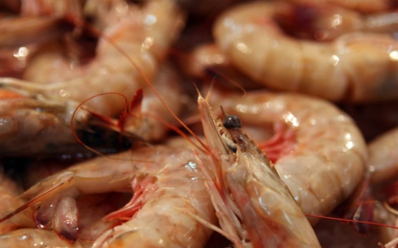 Condenan a 723 años de prisión a dueños de restaurante por estafa en buffet de mariscos Condenan a 723 años de prisión a dueños de restaurante por estafa en buffet de mariscos