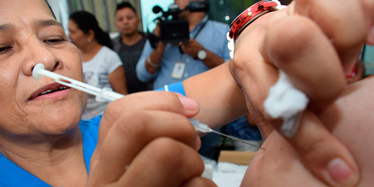 Directora del PAI: «Solo el 14 por ciento hemos avanzado en el plan de vacunación 2020»