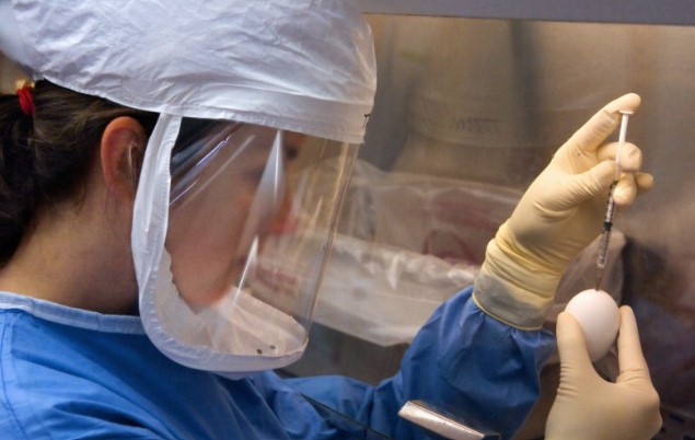 Una vacuna contra la poliomielitis que ya existe podría ayudar a proteger contra el coronavirus Una vacuna contra la poliomielitis que ya existe podría ayudar a proteger contra el coronavirus