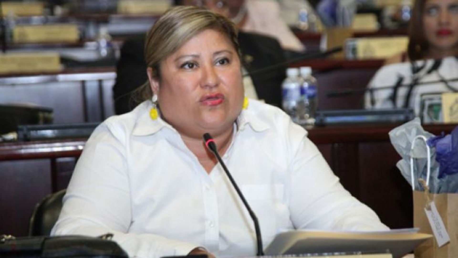 Diputada nacionalista: No es el momento de pelear por política