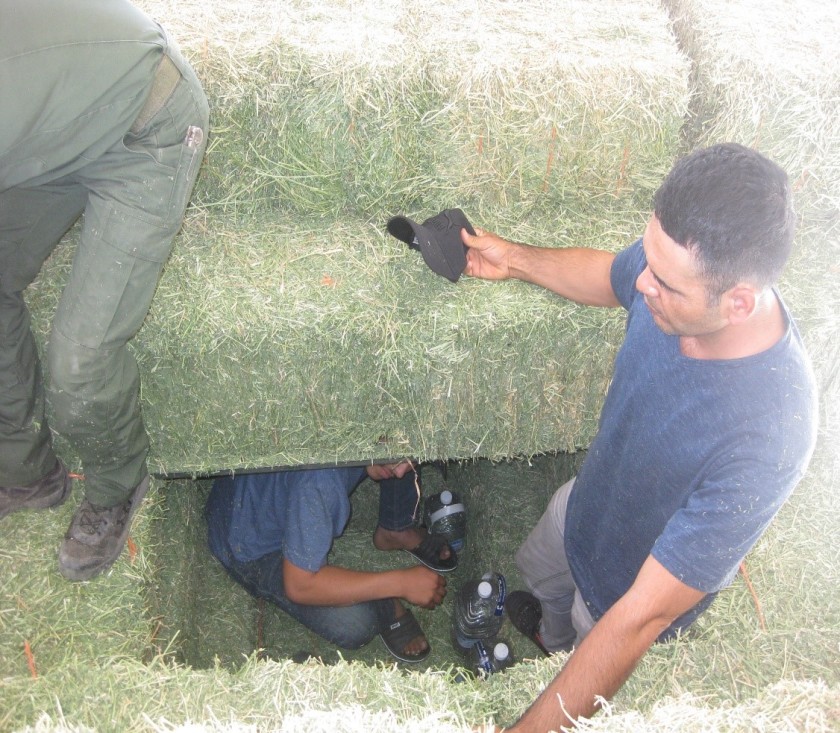 Encuentran a doce inmigrantes  mexicanos en un camión que transportaba heno