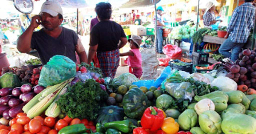 Se mantienen precios en la feria del Agricultor y el Artesano frente al estadio nacional